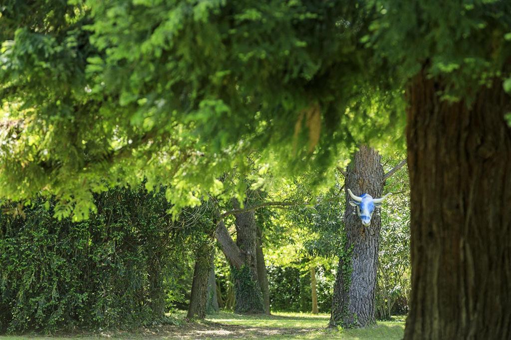 Les Gites Du Domaine De Rhodes 亞維農 外观 照片