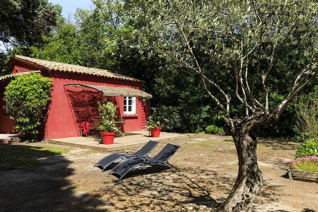 Les Gites Du Domaine De Rhodes 亞維農 外观 照片
