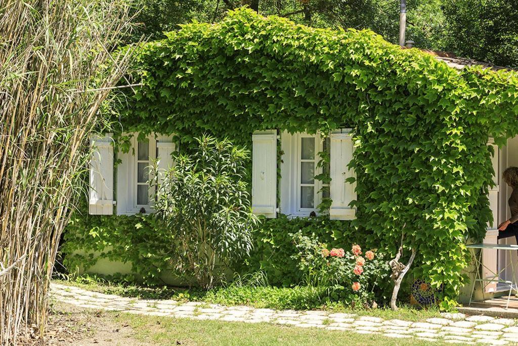 Les Gites Du Domaine De Rhodes 亞維農 客房 照片