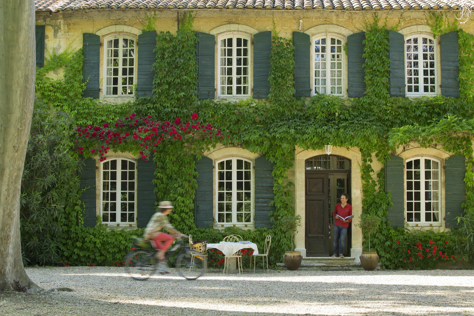 Les Gites Du Domaine De Rhodes 亞維農 外观 照片